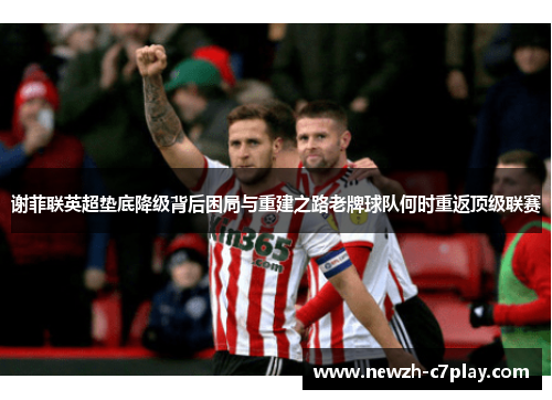 谢菲联英超垫底降级背后困局与重建之路老牌球队何时重返顶级联赛 谢菲联英超垫底降级背后困局与重建之路老牌球队何时重返顶级联赛
